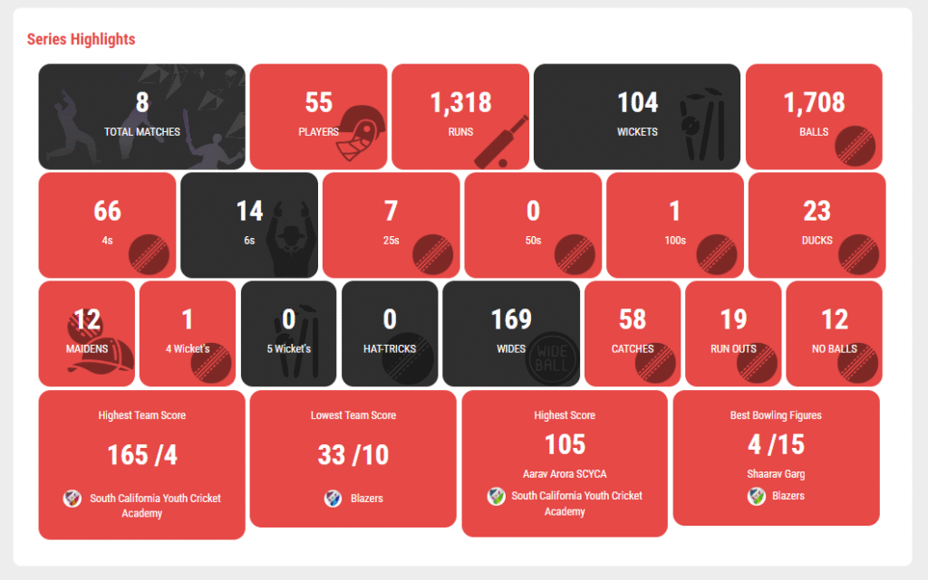 WYCA 2025 Thanksgiving Cricket Tournament Highlights